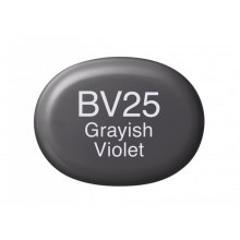 COPIC sketch BV 25