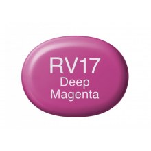 COPIC sketch RV 17